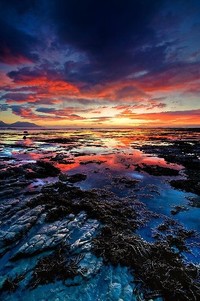 AC米兰破敌先锋，势如破竹