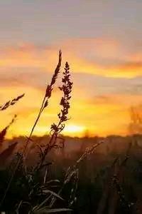 那不勒斯全队备战罗马的挑战