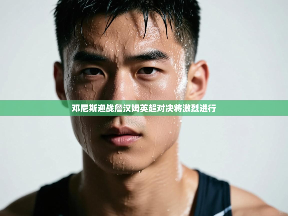 邓尼斯迎战詹汉姆英超对决将激烈进行  第2张