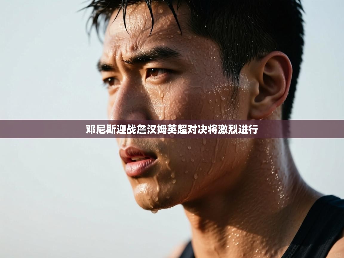 邓尼斯迎战詹汉姆英超对决将激烈进行  第1张