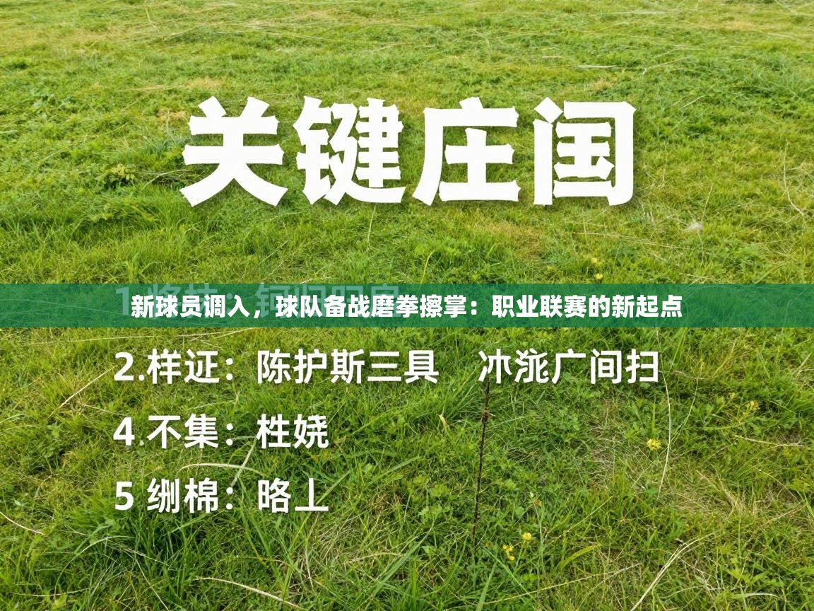 新球员调入,球队备战磨拳擦掌:职业联赛的新起点 第2张