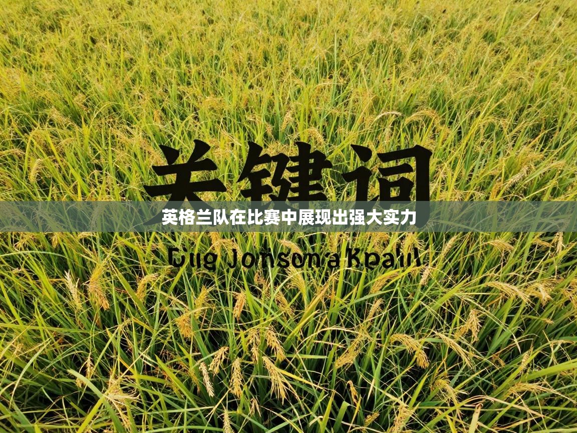 英格兰队在比赛中展现出强大实力