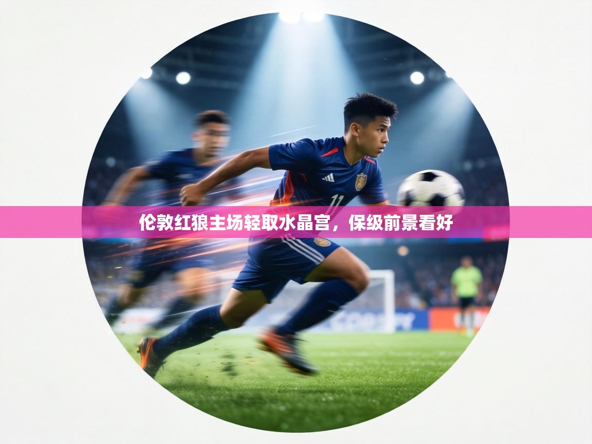 伦敦红狼主场轻取水晶宫,保级前景看好 第2张